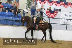 15R14_07797 thumbnail