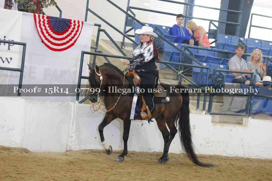 Proof Number 15R14_07799