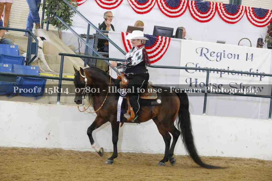 Proof Number 15R14_07801