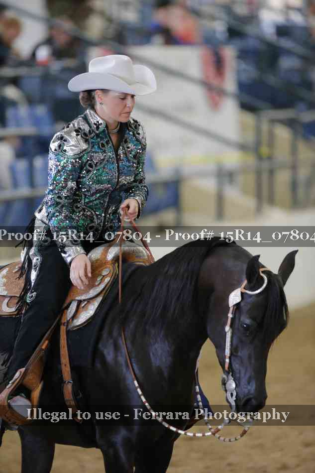 Proof Number 15R14_07804