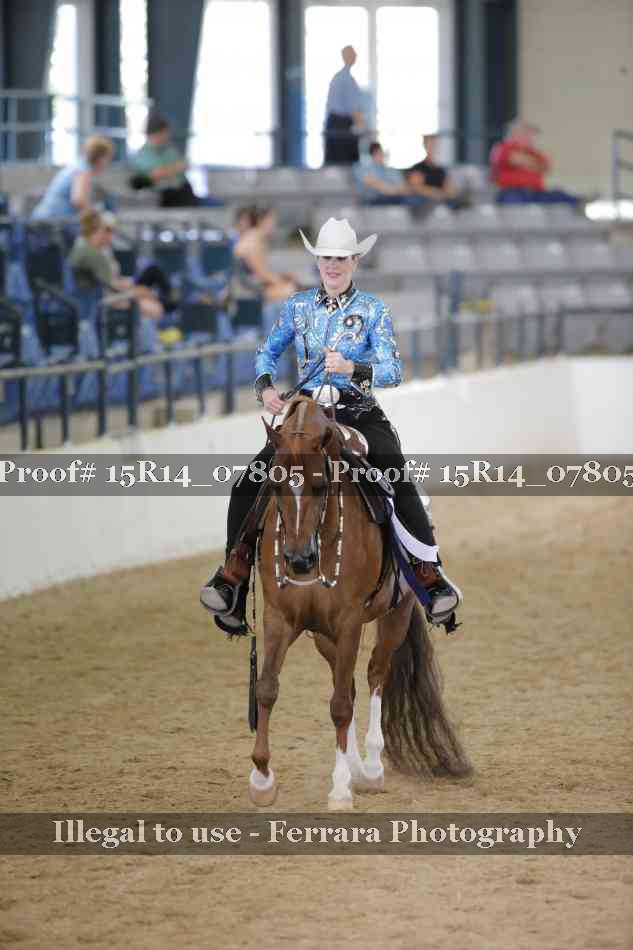 Proof Number 15R14_07805