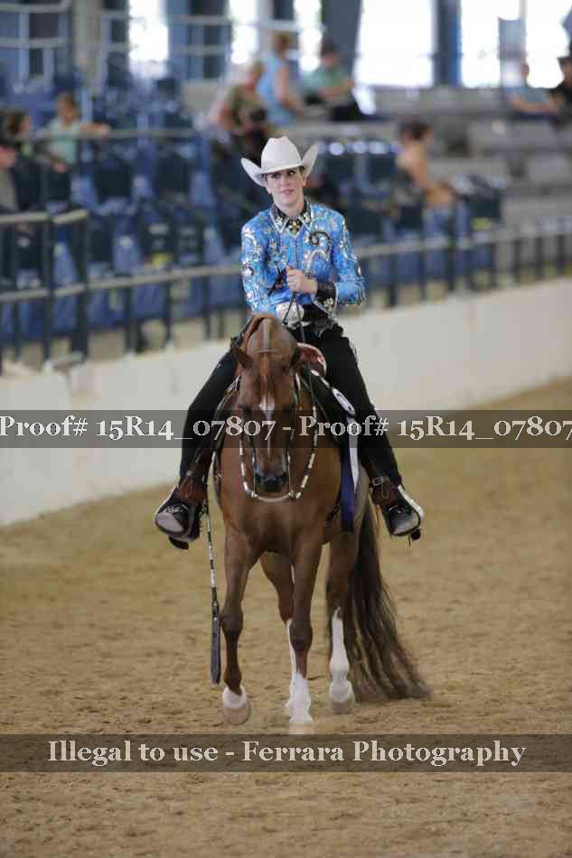 Proof Number 15R14_07807