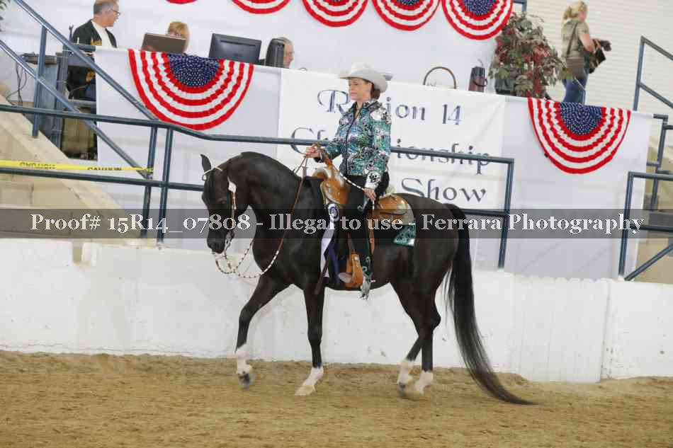 Proof Number 15R14_07808