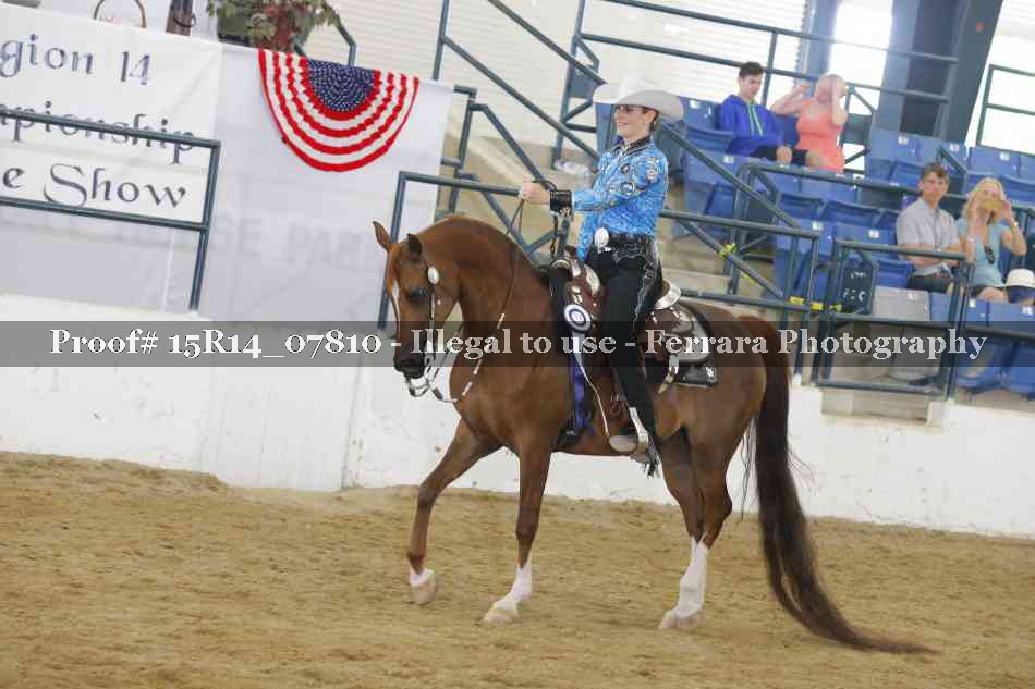 Proof Number 15R14_07810