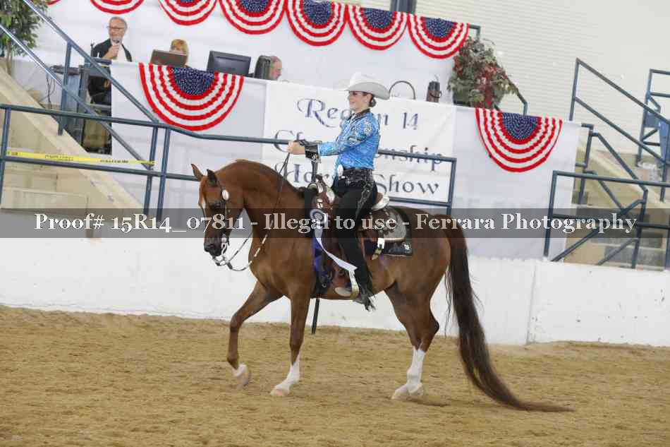 Proof Number 15R14_07811