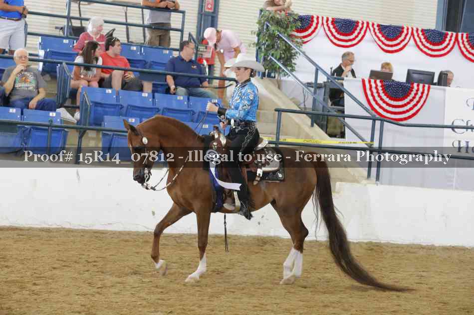 Proof Number 15R14_07812
