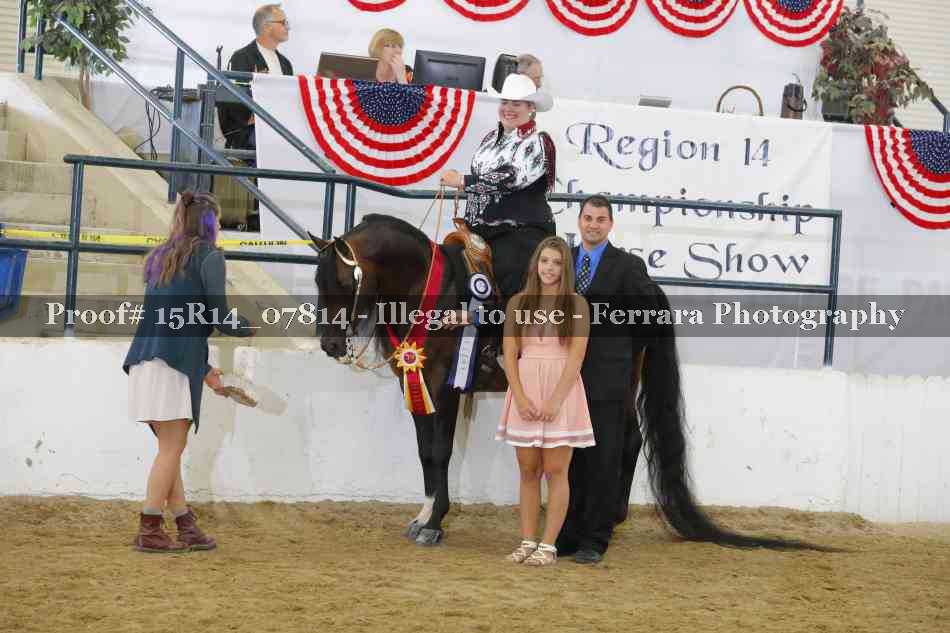 Proof Number 15R14_07814