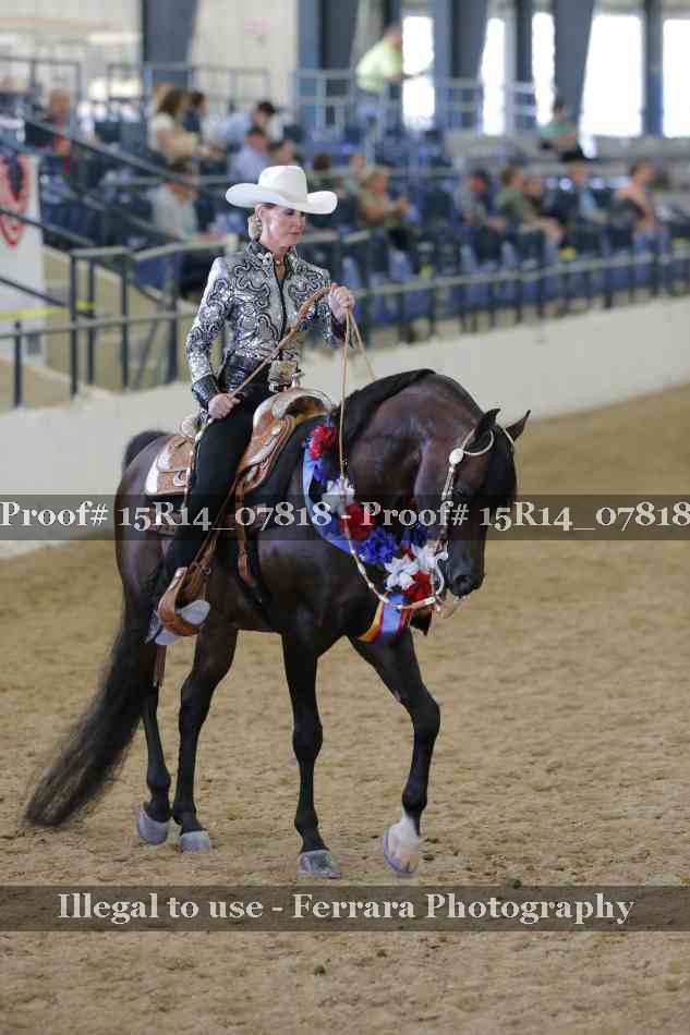 Proof Number 15R14_07818