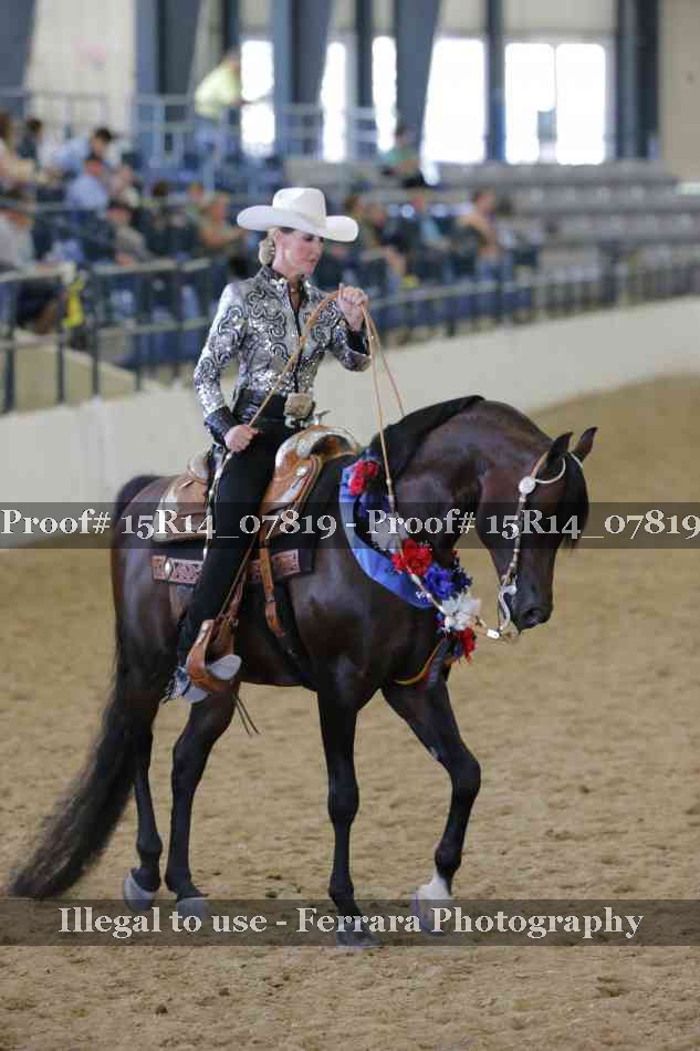 Proof Number 15R14_07819