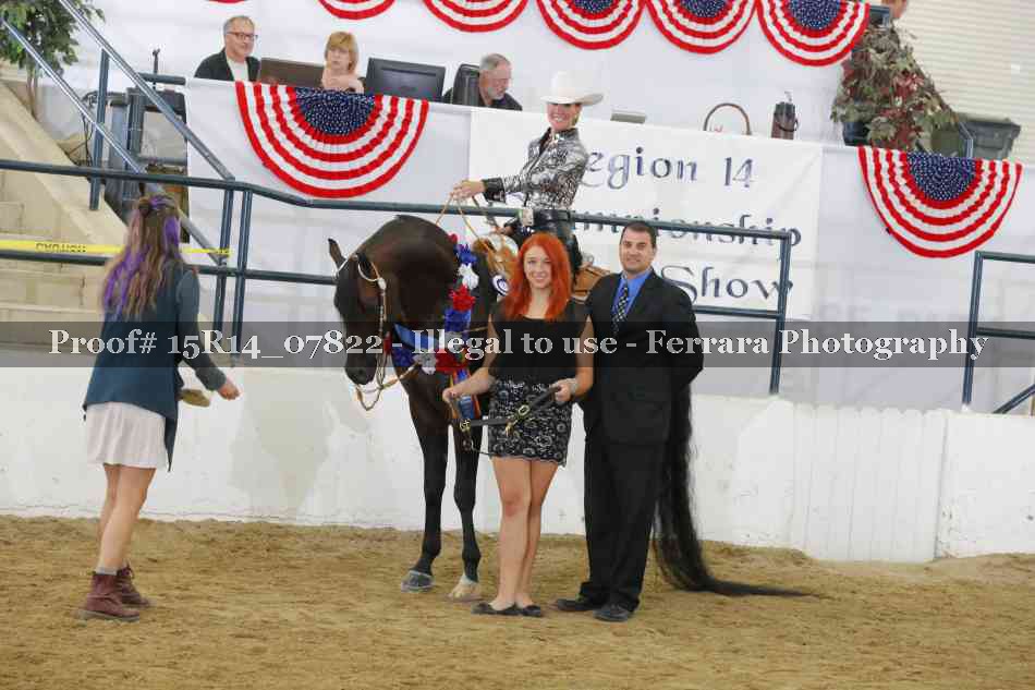 Proof Number 15R14_07822