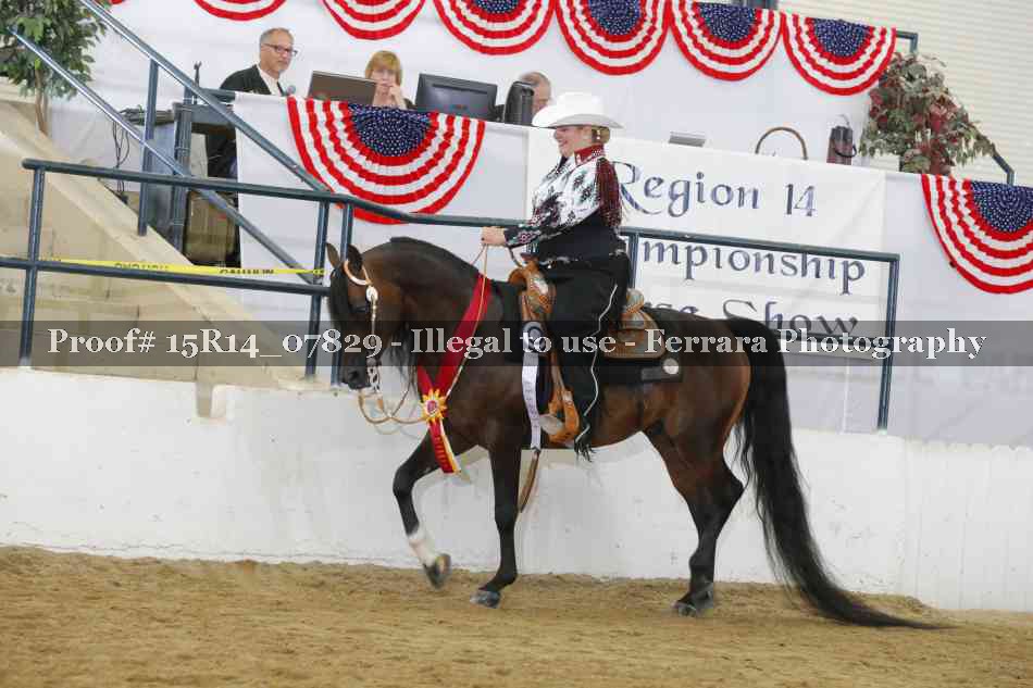 Proof Number 15R14_07829