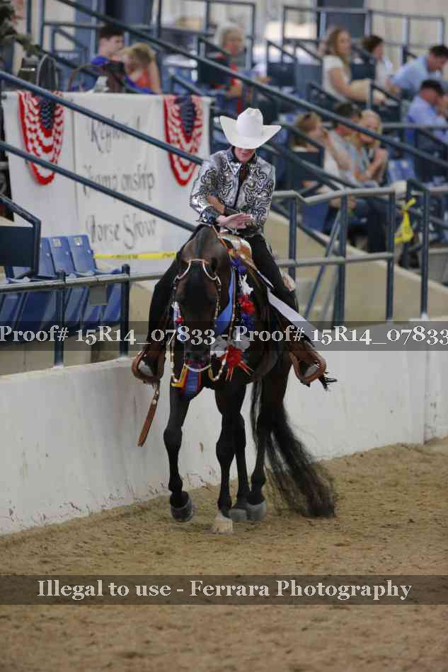Proof Number 15R14_07833