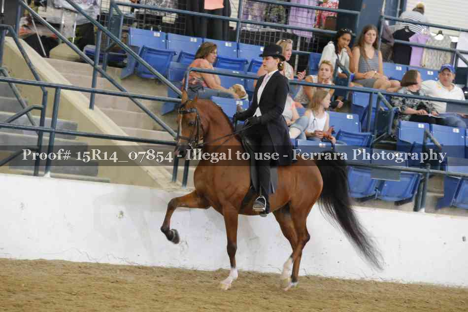 Proof Number 15R14_07854
