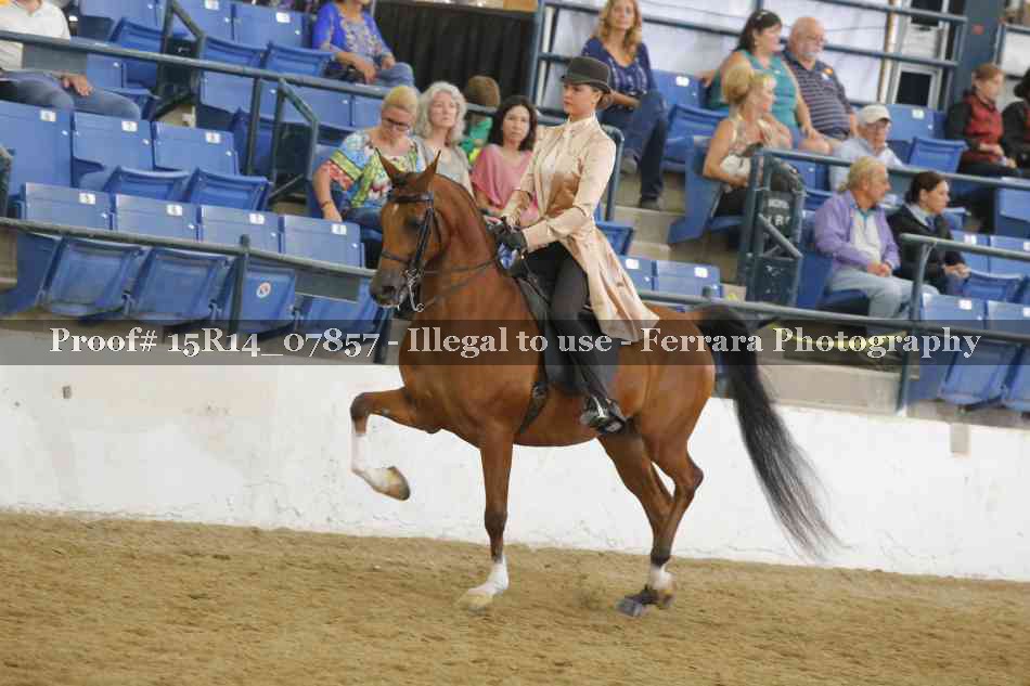 Proof Number 15R14_07857