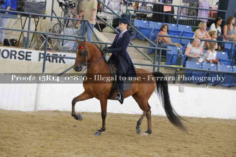 Proof Number 15R14_07870