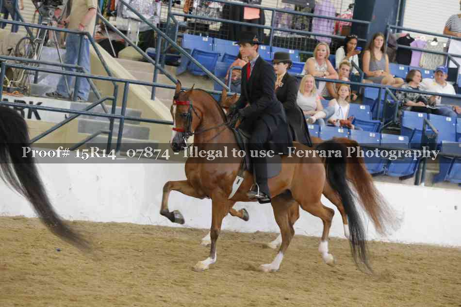 Proof Number 15R14_07874