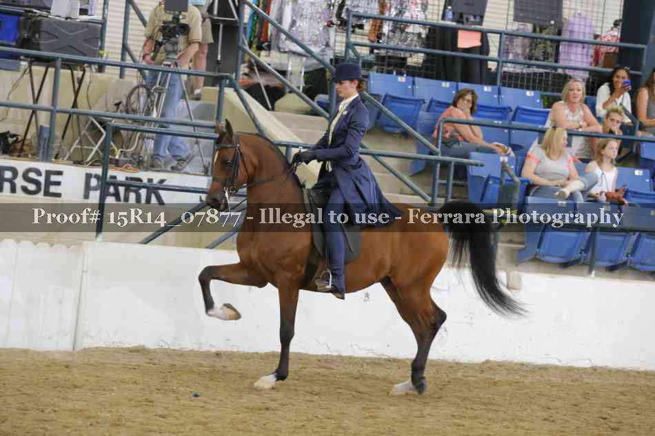 Proof Number 15R14_07877