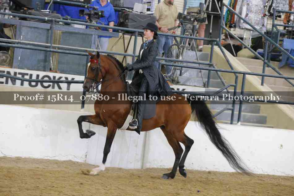 Proof Number 15R14_07880