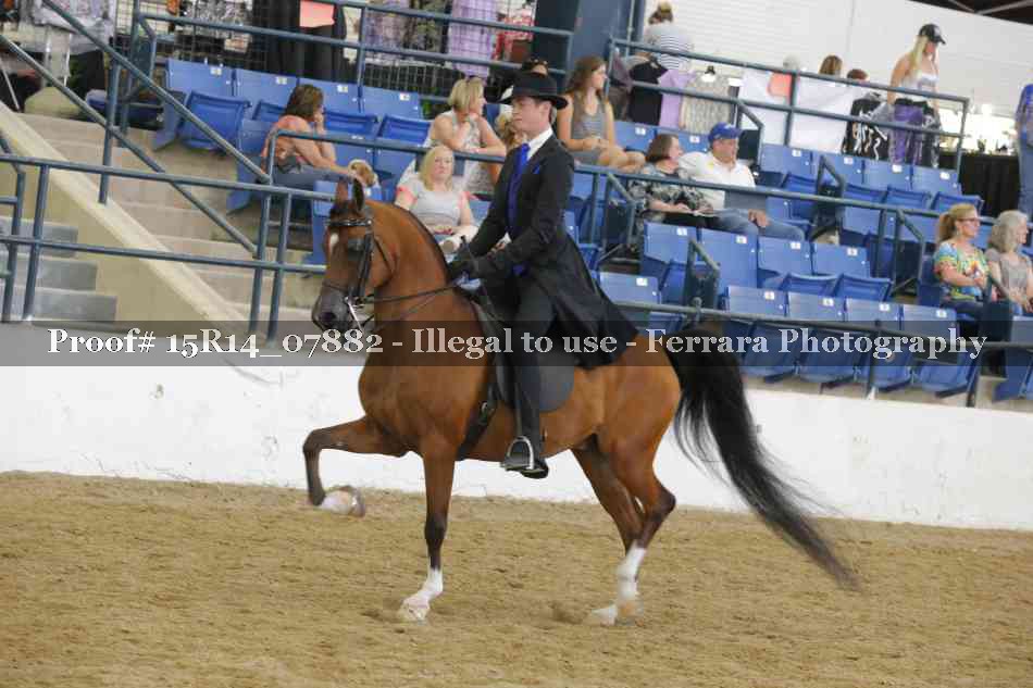 Proof Number 15R14_07882