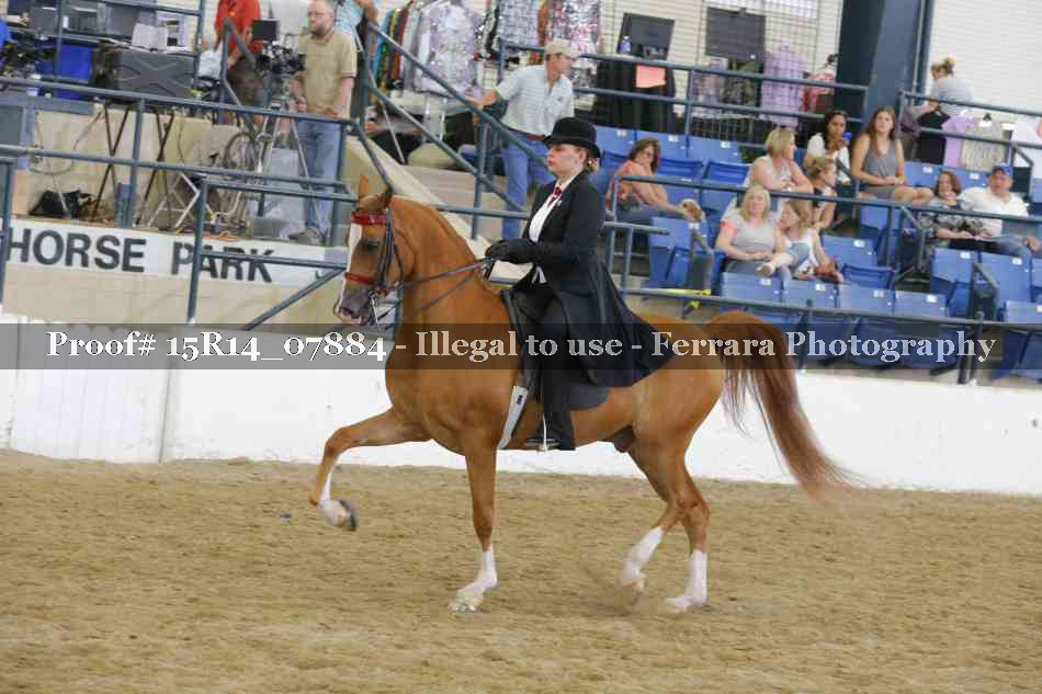 Proof Number 15R14_07884