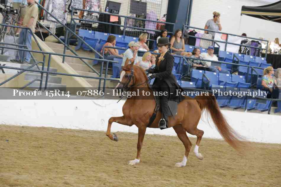 Proof Number 15R14_07886