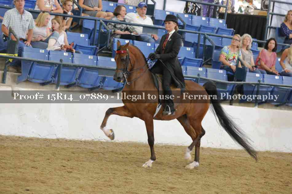 Proof Number 15R14_07889