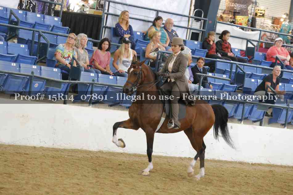 Proof Number 15R14_07891
