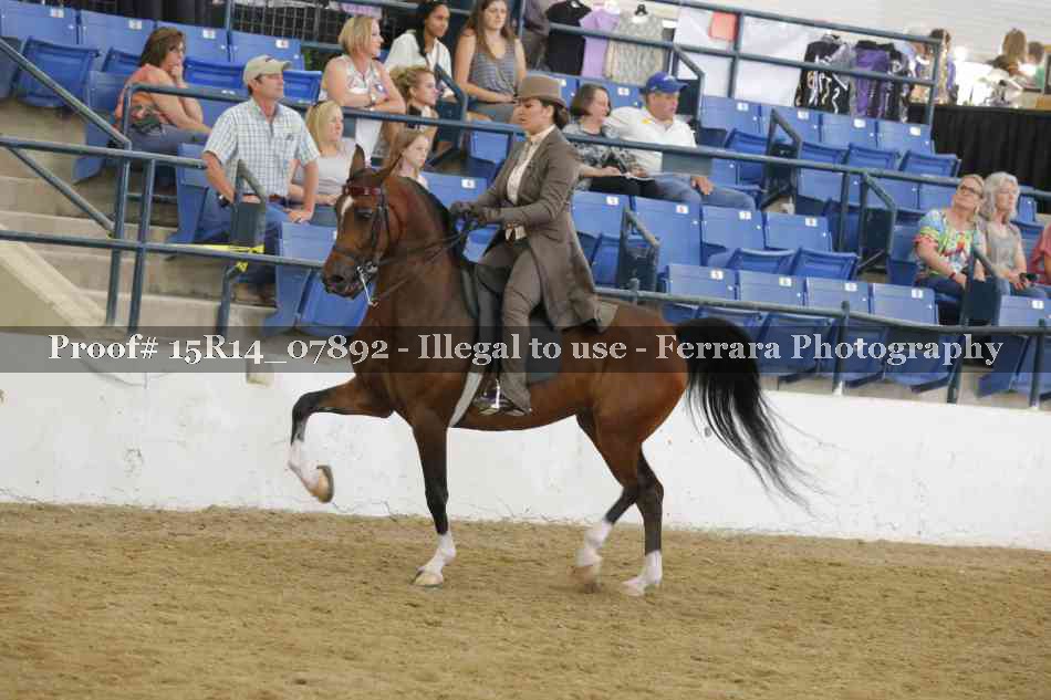 Proof Number 15R14_07892