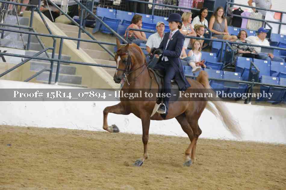 Proof Number 15R14_07894