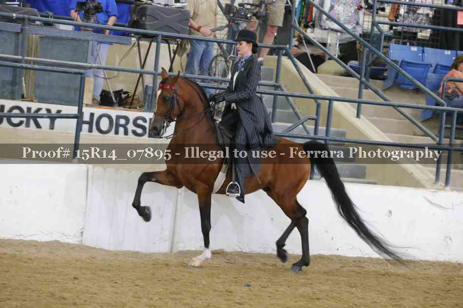Proof Number 15R14_07895