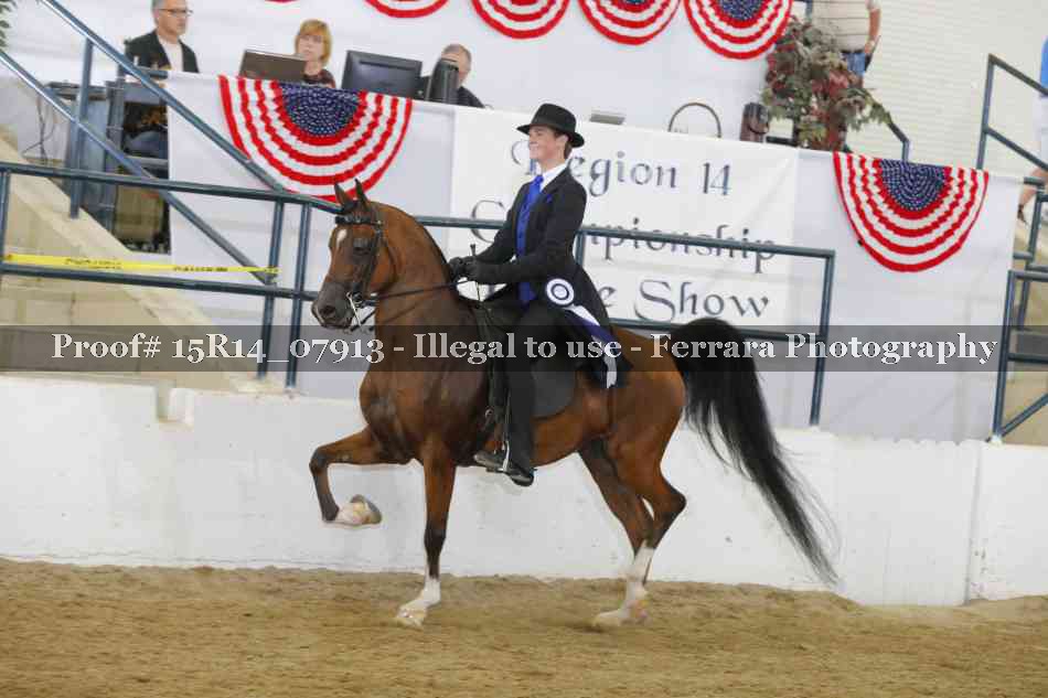 Proof Number 15R14_07913