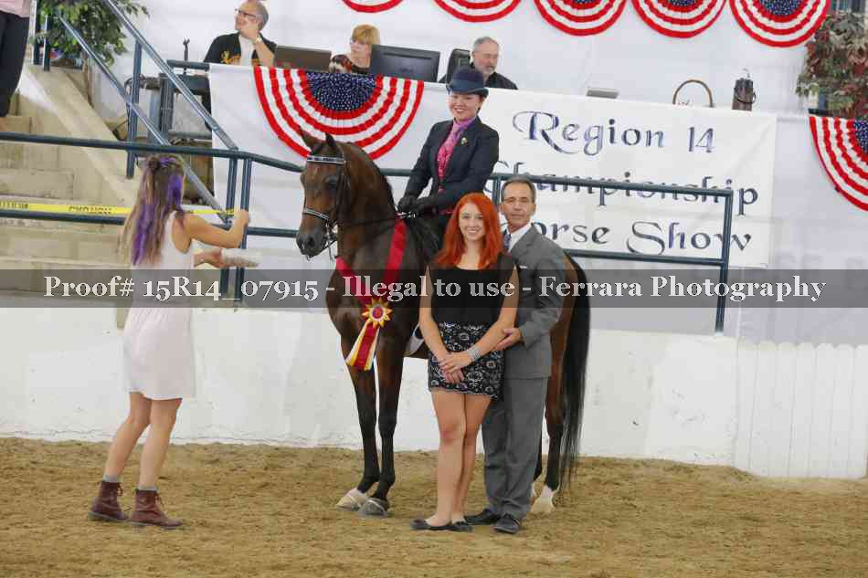Proof Number 15R14_07915