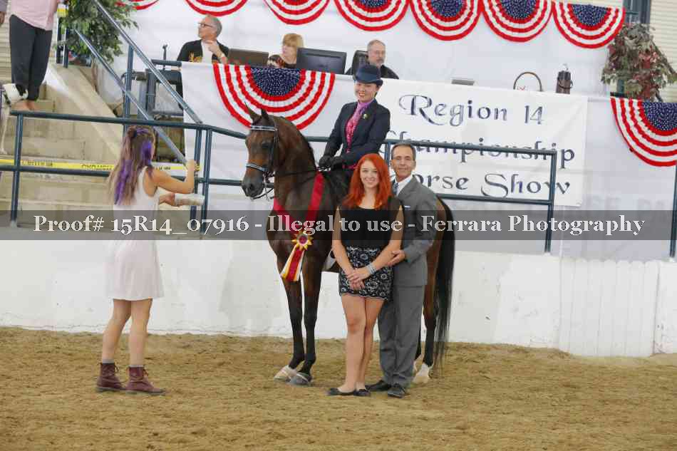 Proof Number 15R14_07916