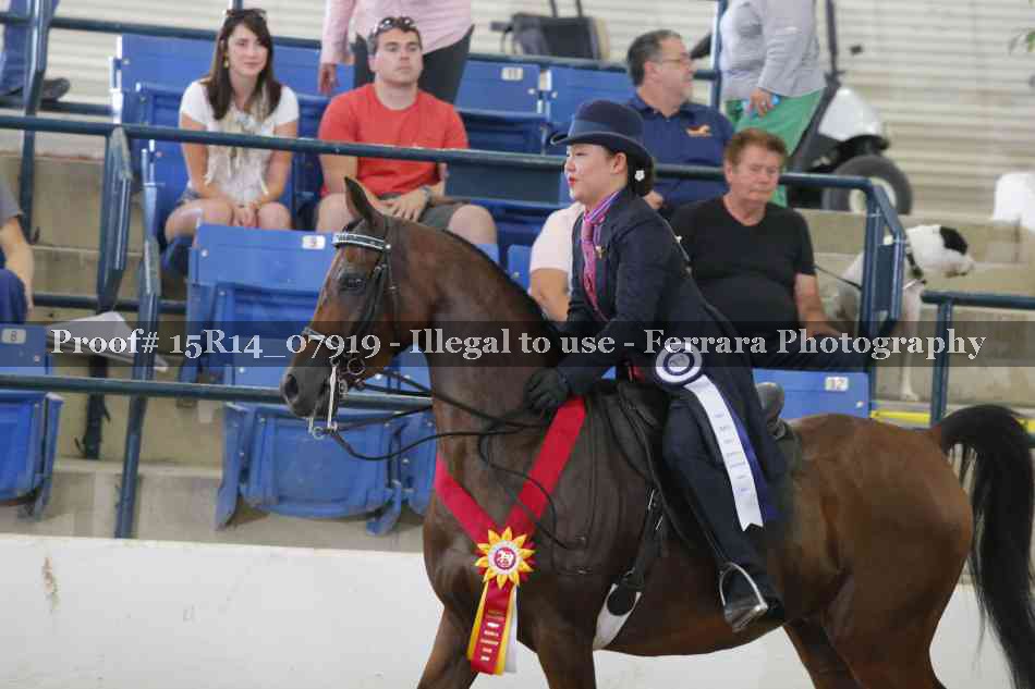 Proof Number 15R14_07919