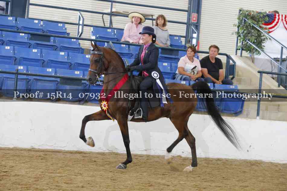 Proof Number 15R14_07932