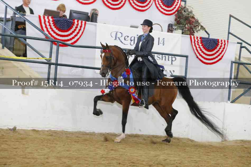 Proof Number 15R14_07934