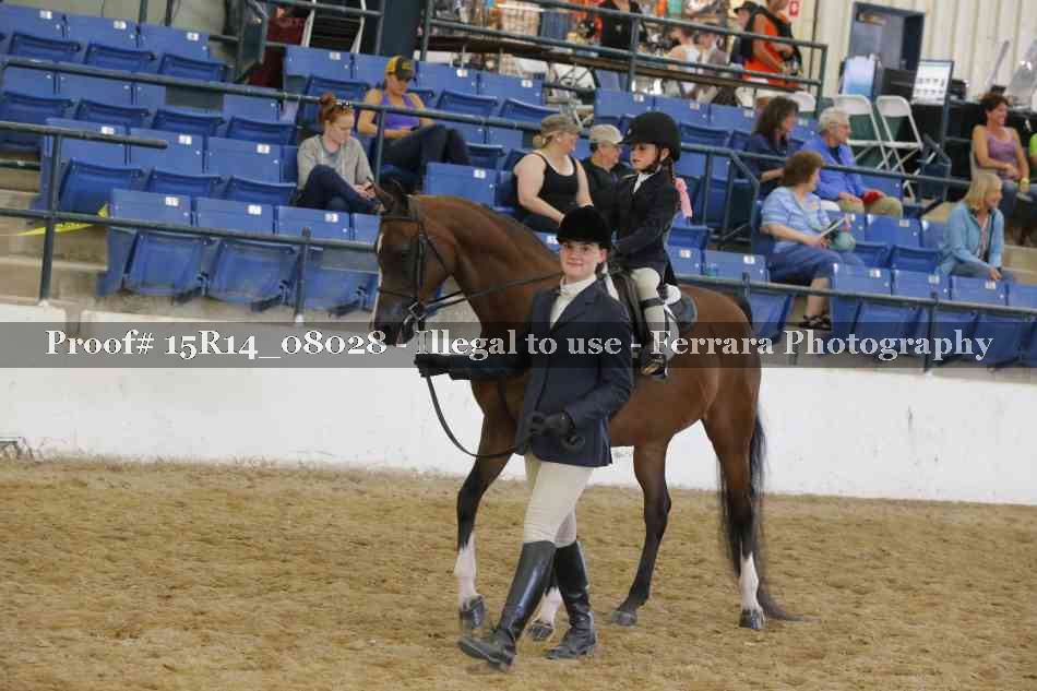 Proof Number 15R14_08028