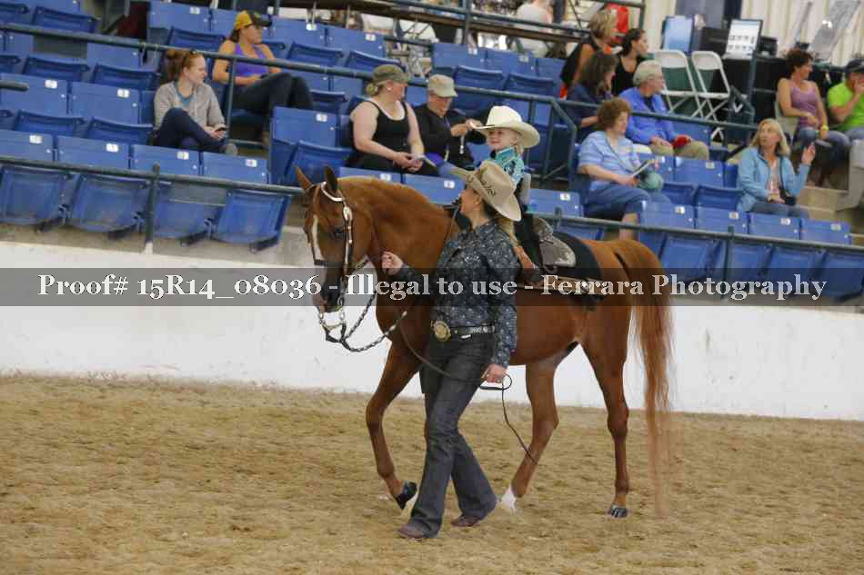 Proof Number 15R14_08036