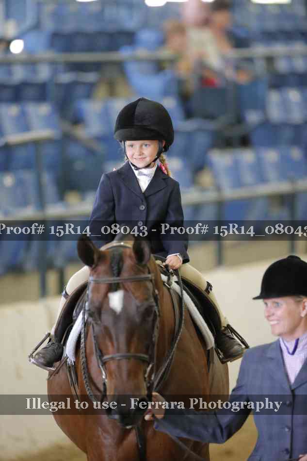 Proof Number 15R14_08043