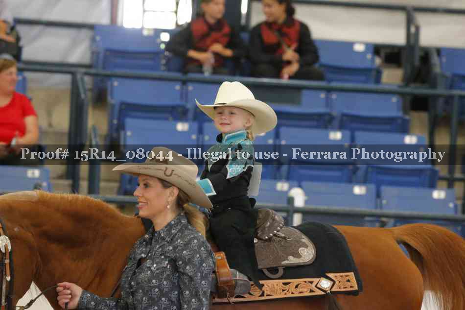 Proof Number 15R14_08044