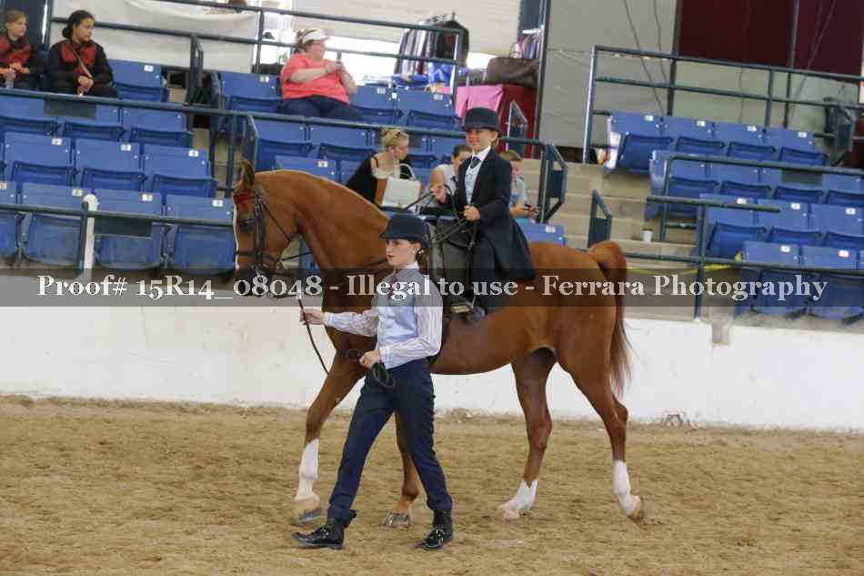 Proof Number 15R14_08048