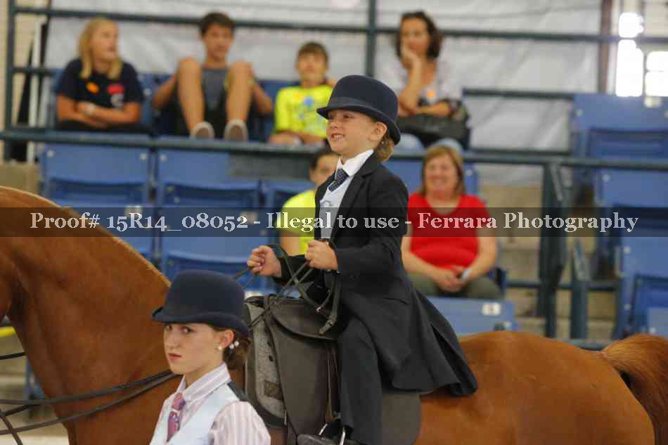 Proof Number 15R14_08052