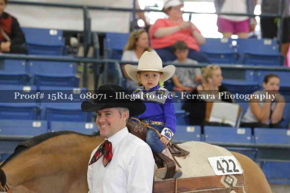 Proof Number 15R14_08071