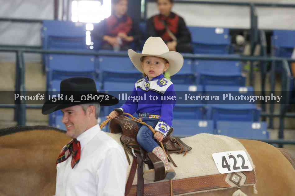 Proof Number 15R14_08072