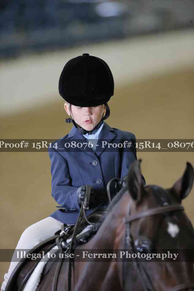 Proof Number 15R14_08076