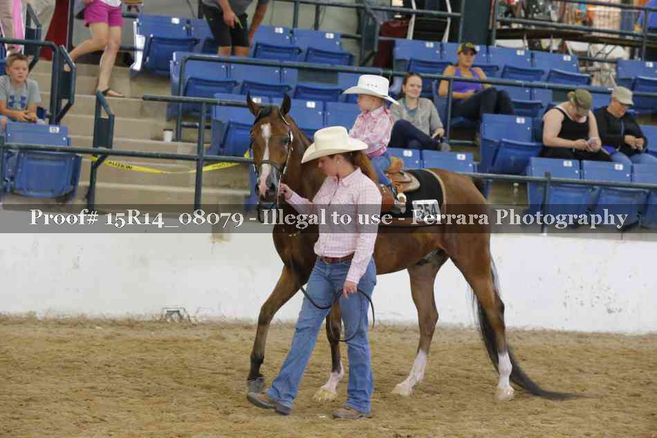 Proof Number 15R14_08079