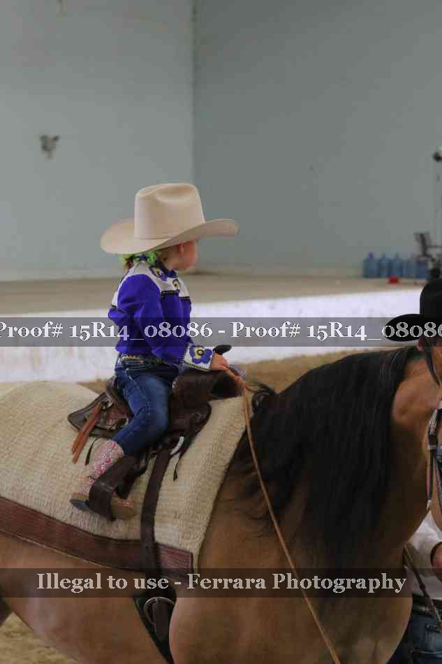 Proof Number 15R14_08086