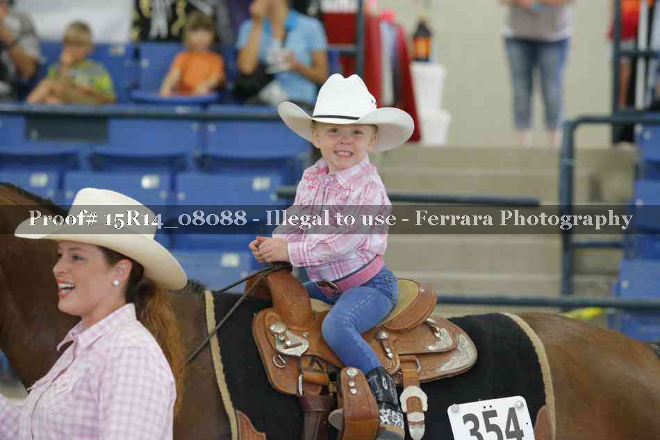 Proof Number 15R14_08088
