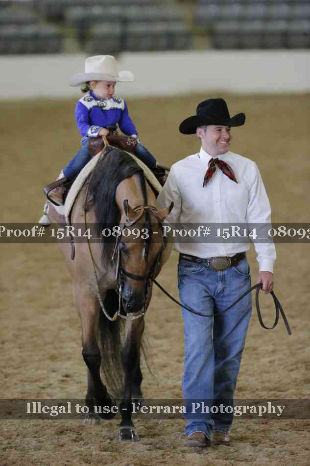 Proof Number 15R14_08093