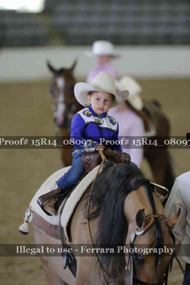 Proof Number 15R14_08097